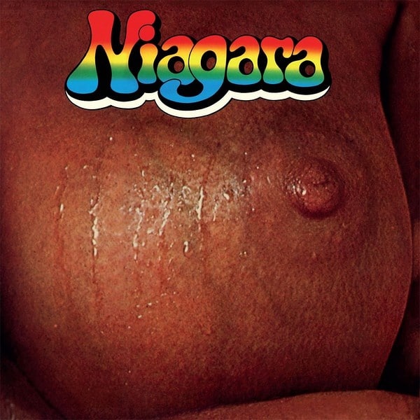 Le premier album de Niagara, groupe culte Krautrock, de retour dans les bacs
